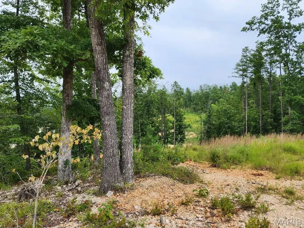 $60,000 | 300 William Street, Van Buren, MO 63965