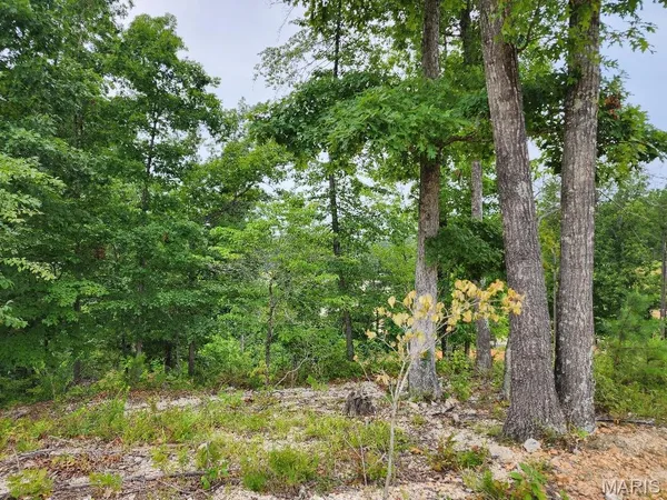 $60,000 | 300 William Street, Van Buren, MO 63965