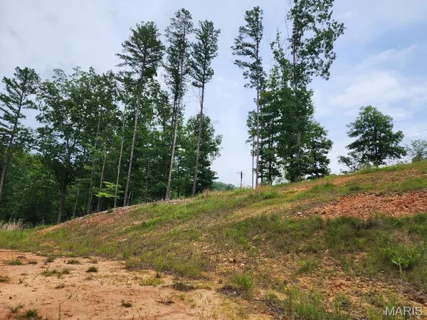 $60,000 | 300 William Street, Van Buren, MO 63965