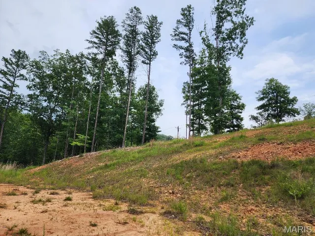 $60,000 | 300 William Street, Van Buren, MO 63965