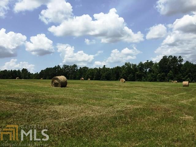 0 Rosemary Church Road Millen, GA 30442 - Photo 1 of 1 ga land for sale, agricultural land for sale, recreational land for sale
