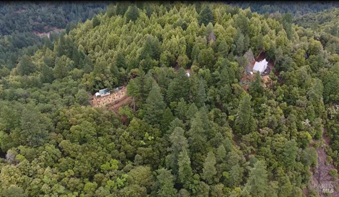 37600 Highway 101 Willits, CA 95490 - Photo 16 of 22 a view of a house with a outdoor space and a forest