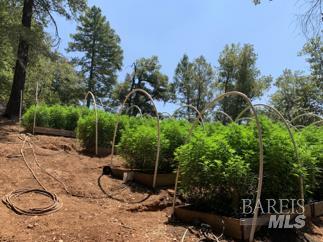 37600 Highway 101 Willits, CA 95490 - Photo 17 of 22 a backyard of a house with table and chairs a barbeque and potted plants