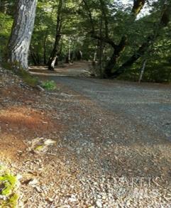 37600 Highway 101 Willits, CA 95490 - Photo 21 of 22 a view of backyard with green space