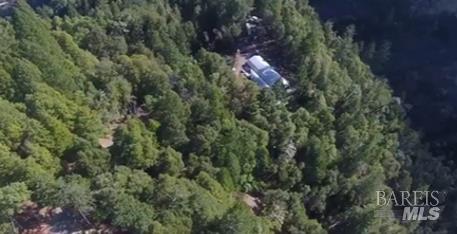 37600 Highway 101 Willits, CA 95490 - Photo 4 of 22 a view of a house with a tree