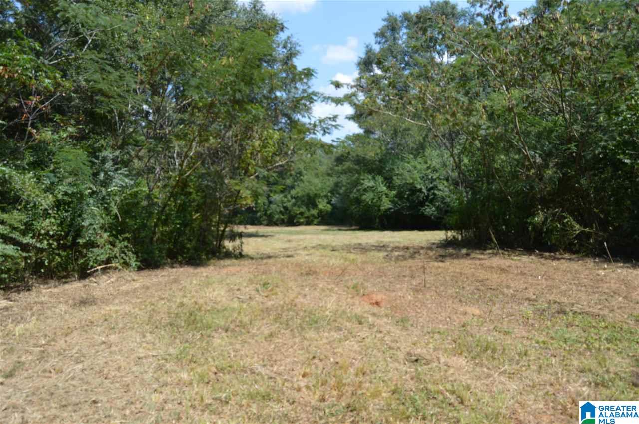 3512 Kilpatrick Road, Unit 9 7 AC Quinton, AL 35130 - Photo 2 of 19 Gallery Image 2