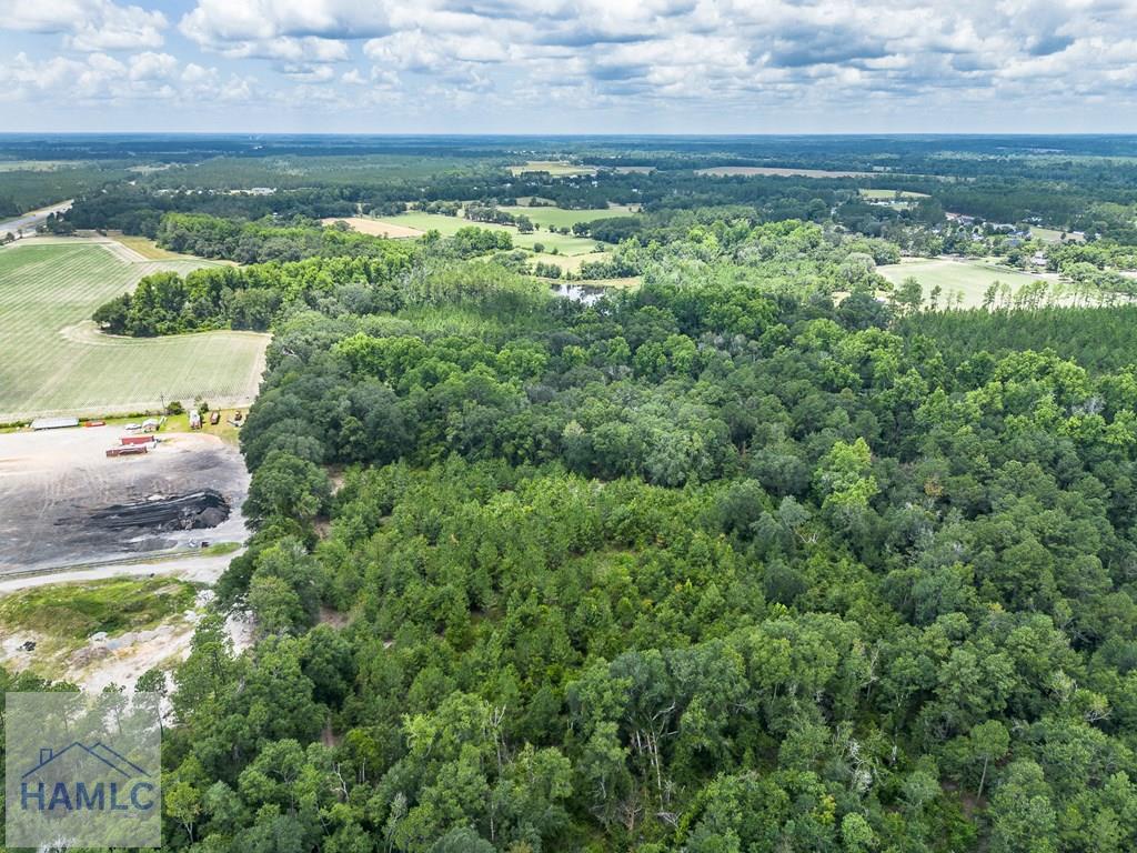 0 Nesbit Road Jesup, GA 31545 - Photo 10 of 35 Gallery Image 10