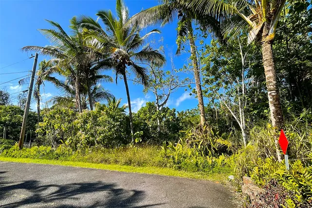 $65,000 | 12-7002 Lot 155 Koaekea Street, Pahoa, HI 96778