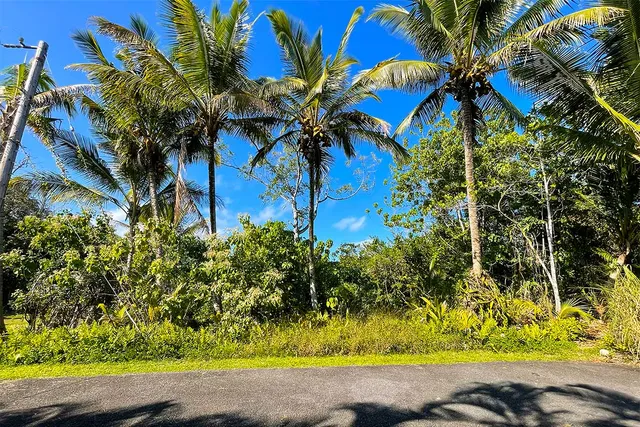 $65,000 | 12-7002 Lot 155 Koaekea Street, Pahoa, HI 96778