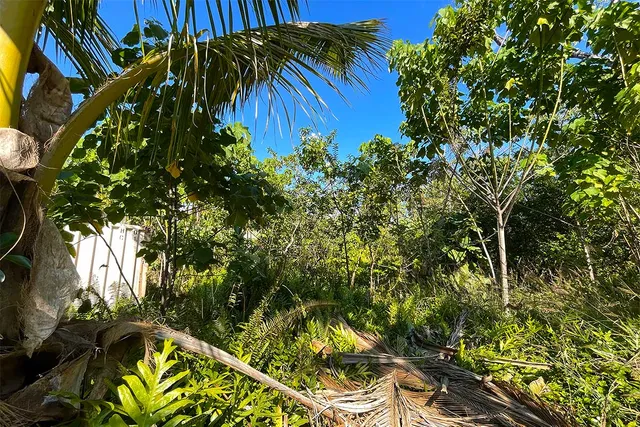 $65,000 | 12-7002 Lot 155 Koaekea Street, Pahoa, HI 96778