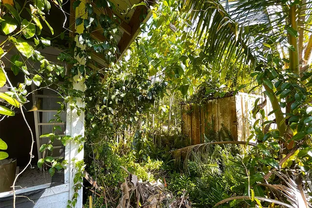 $65,000 | 12-7002 Lot 155 Koaekea Street, Pahoa, HI 96778