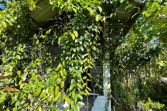 $65,000 | 12-7002 Lot 155 Koaekea Street, Pahoa, HI 96778