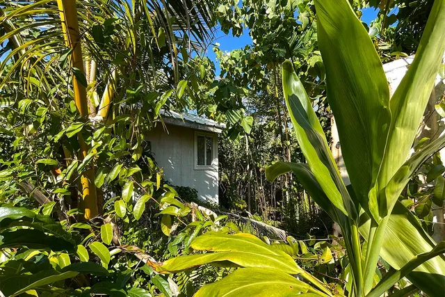 $65,000 | 12-7002 Lot 155 Koaekea Street, Pahoa, HI 96778