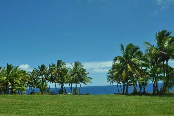 $65,000 | 12-7002 Lot 155 Koaekea Street, Pahoa, HI 96778