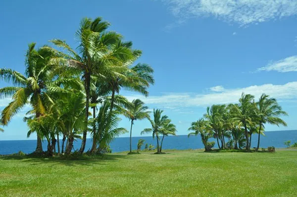 $65,000 | 12-7002 Lot 155 Koaekea Street, Pahoa, HI 96778