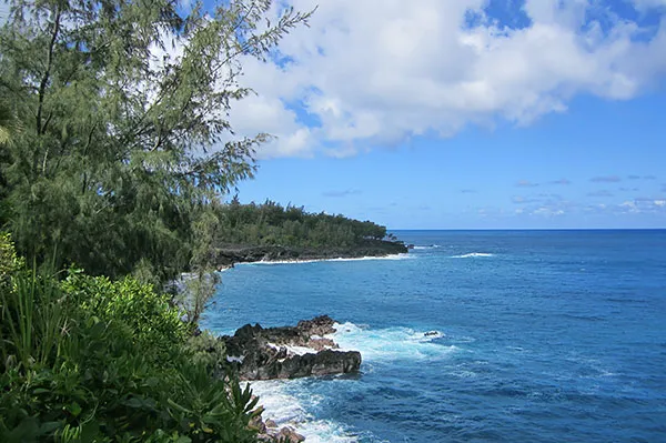 $65,000 | 12-7002 Lot 155 Koaekea Street, Pahoa, HI 96778