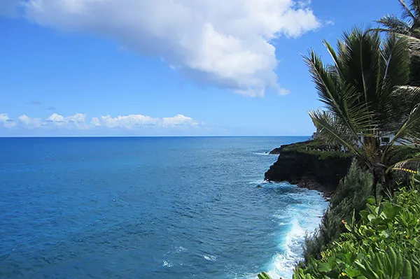 $65,000 | 12-7002 Lot 155 Koaekea Street, Pahoa, HI 96778