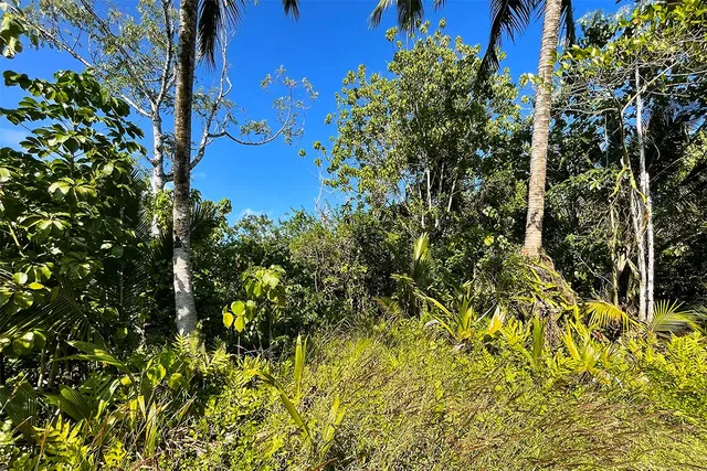 $65,000 | 12-7002 Lot 155 Koaekea Street, Pahoa, HI 96778