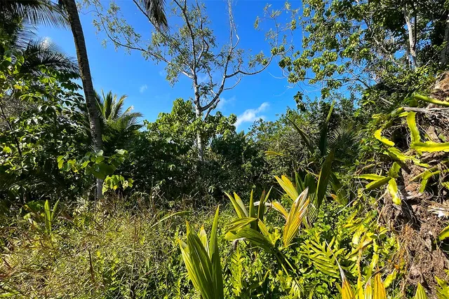 $65,000 | 12-7002 Lot 155 Koaekea Street, Pahoa, HI 96778