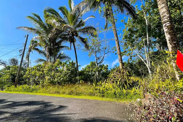 $65,000 | 12-7002 Lot 155 Koaekea Street, Pahoa, HI 96778
