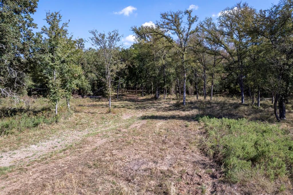 342 Tatanka Trail Gustine, TX 76455 - Photo 19 of 24