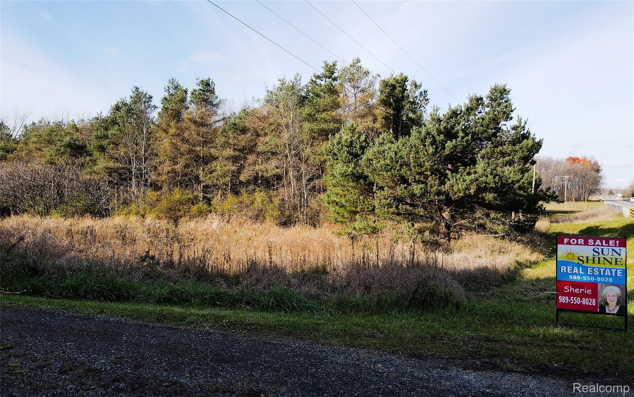 9221 North Lapeer Road Mayville, MI 48744 - Photo 10 of 34 9221 Lapeer Rd Sherie-0444.jpg