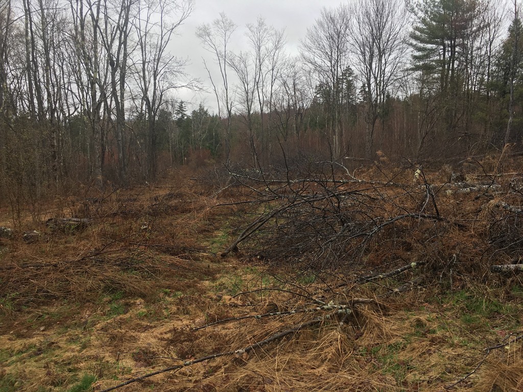 Lot 2 Ranney Corner Road Ashfield, MA 01330 - Photo 7 of 10 Gallery Image 7