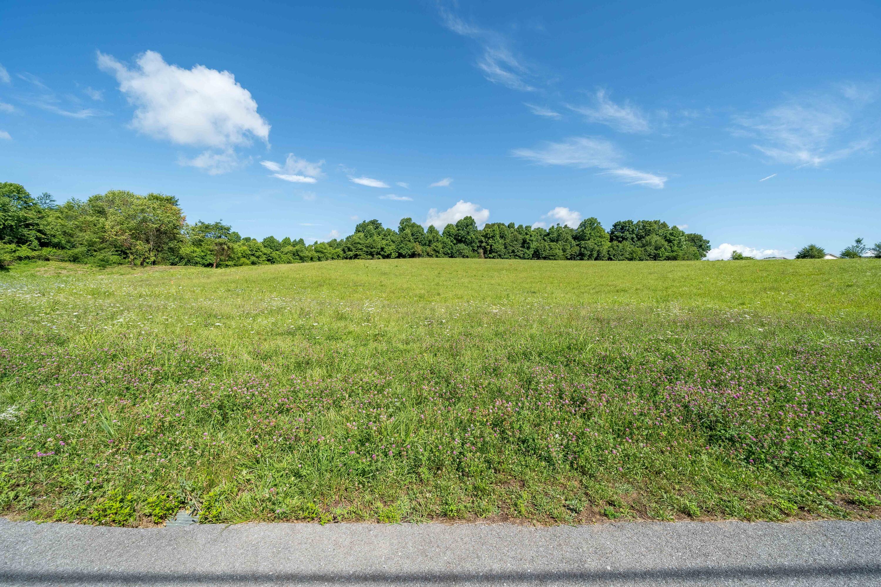Lot 6 Antioch Road Johnson City, TN 37604 - Photo 11 of 25 TBD Antioch Rd Lot 6 (18 of 18)