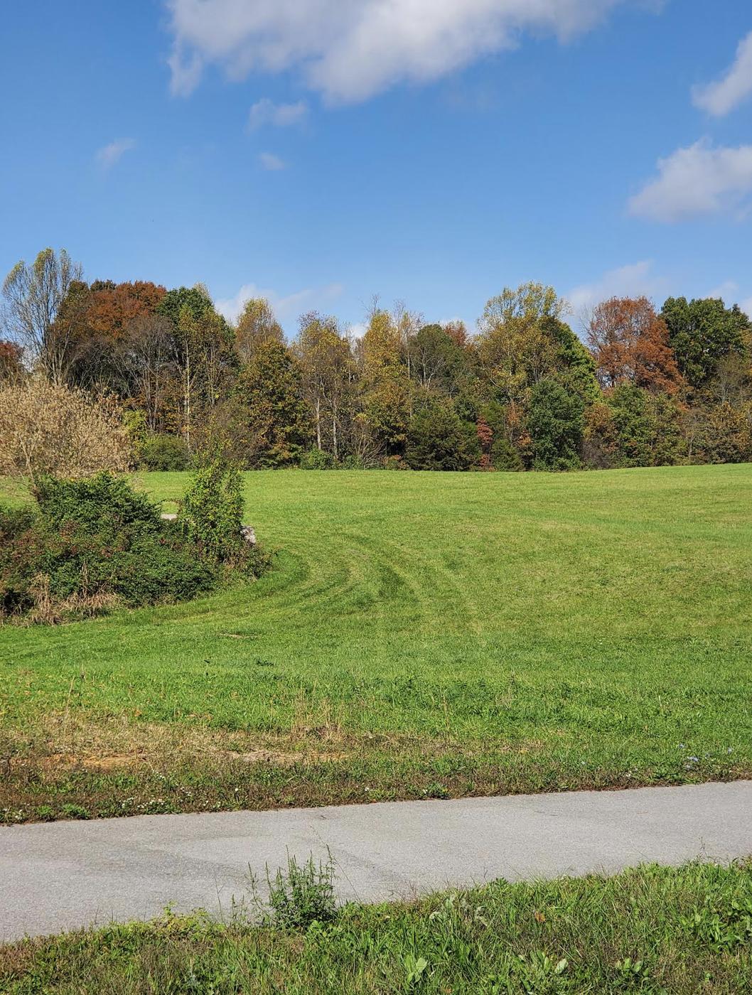 Lot 6 Antioch Road Johnson City, TN 37604 - Photo 14 of 25 Screen Shot 2021-08-23 at 2.16.24 PM