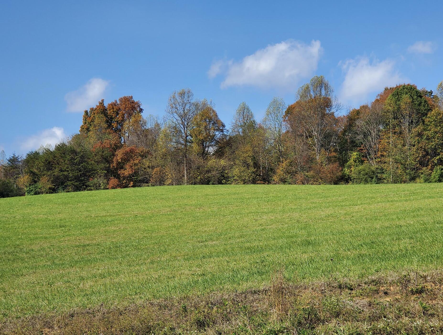 Lot 6 Antioch Road Johnson City, TN 37604 - Photo 15 of 25 Screen Shot 2021-08-23 at 2.16.41 PM