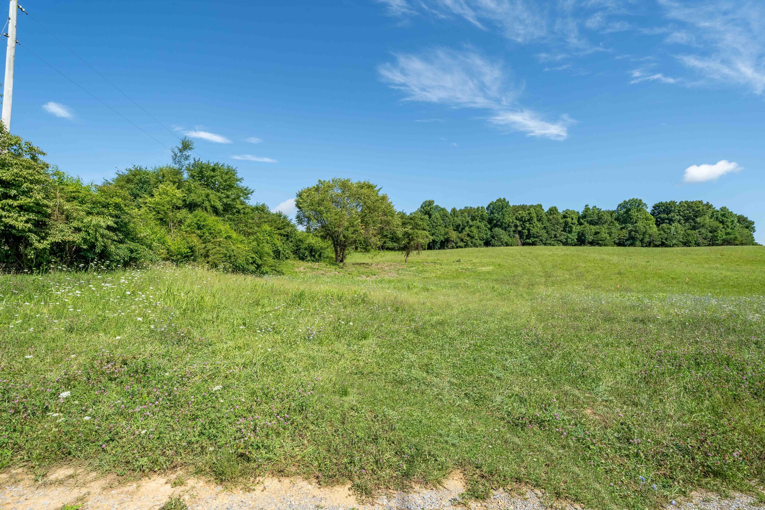 Lot 6 Antioch Road Johnson City, TN 37604 - Photo 6 of 25 TBD Antioch Rd Lot 6 (13 of 18)