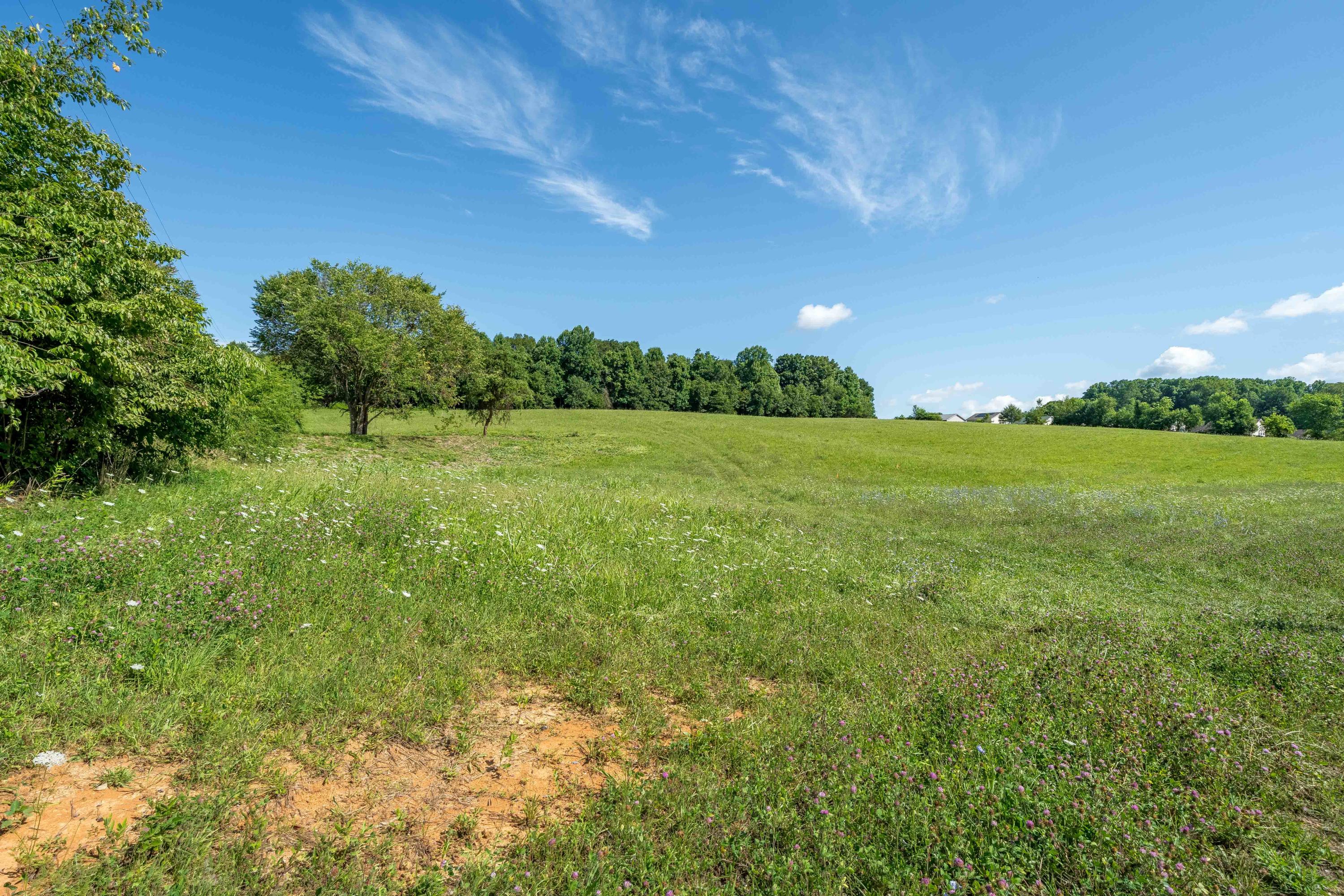 Lot 6 Antioch Road Johnson City, TN 37604 - Photo 7 of 25 TBD Antioch Rd Lot 6 (14 of 18)