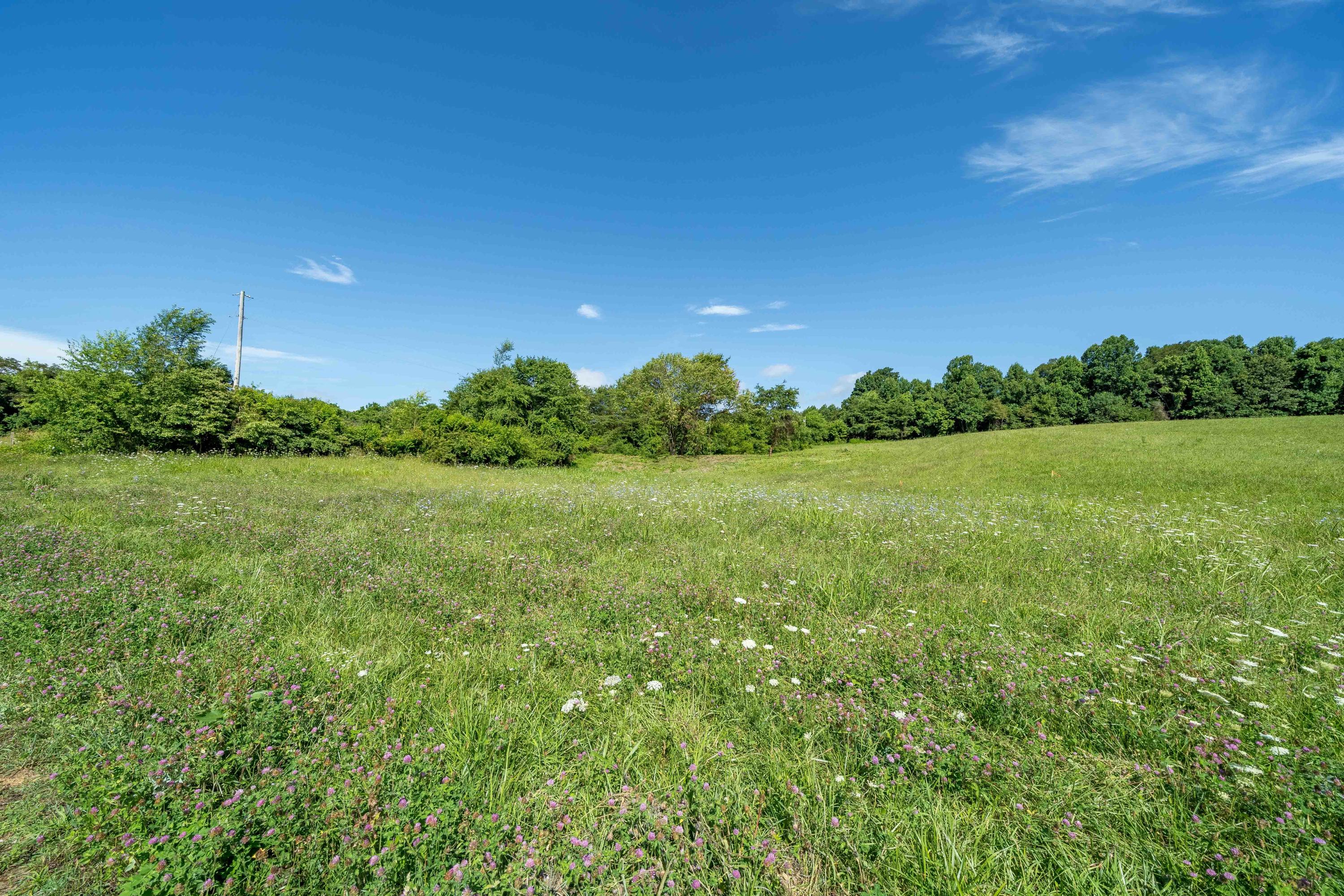 Lot 6 Antioch Road Johnson City, TN 37604 - Photo 8 of 25 TBD Antioch Rd Lot 6 (15 of 18)
