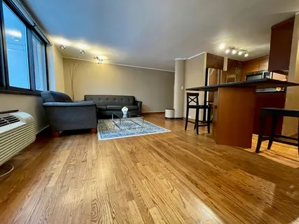 $3,500 | 1221 North Dearborn Street, Unit 804S, Chicago, IL 60610