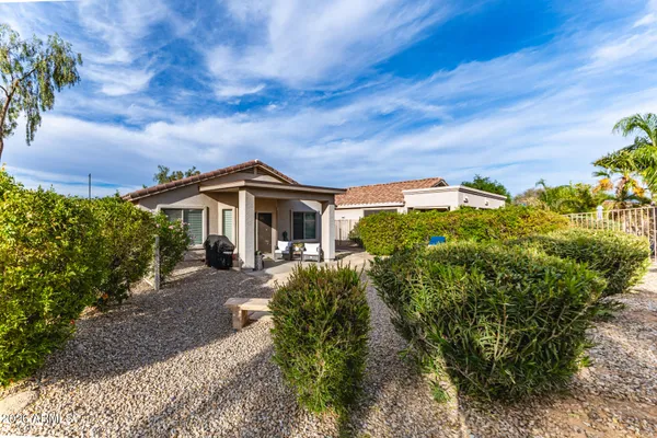a view of a park with large trees
