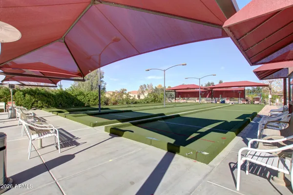a view of a yard with palm trees