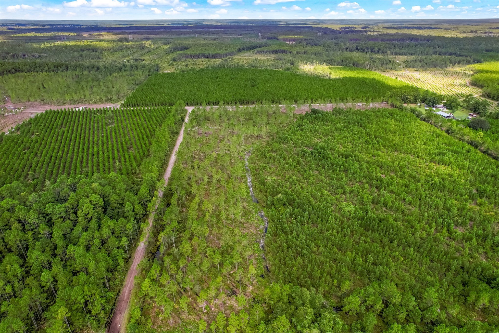 Lot 9 Georgia Street Hilliard, FL 32046 - Photo 11 of 14 a green field with lots of green space