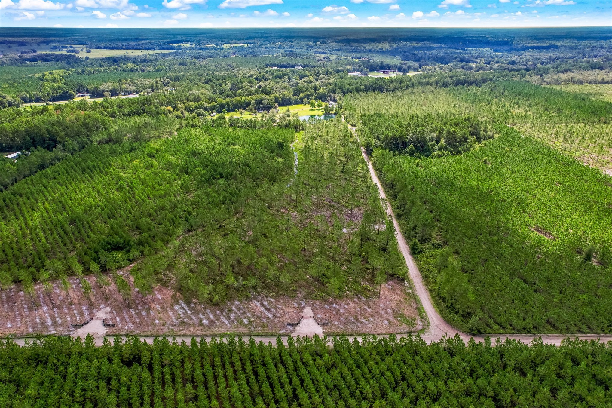 Lot 9 Georgia Street Hilliard, FL 32046 - Photo 12 of 14 a view of a yard with plants