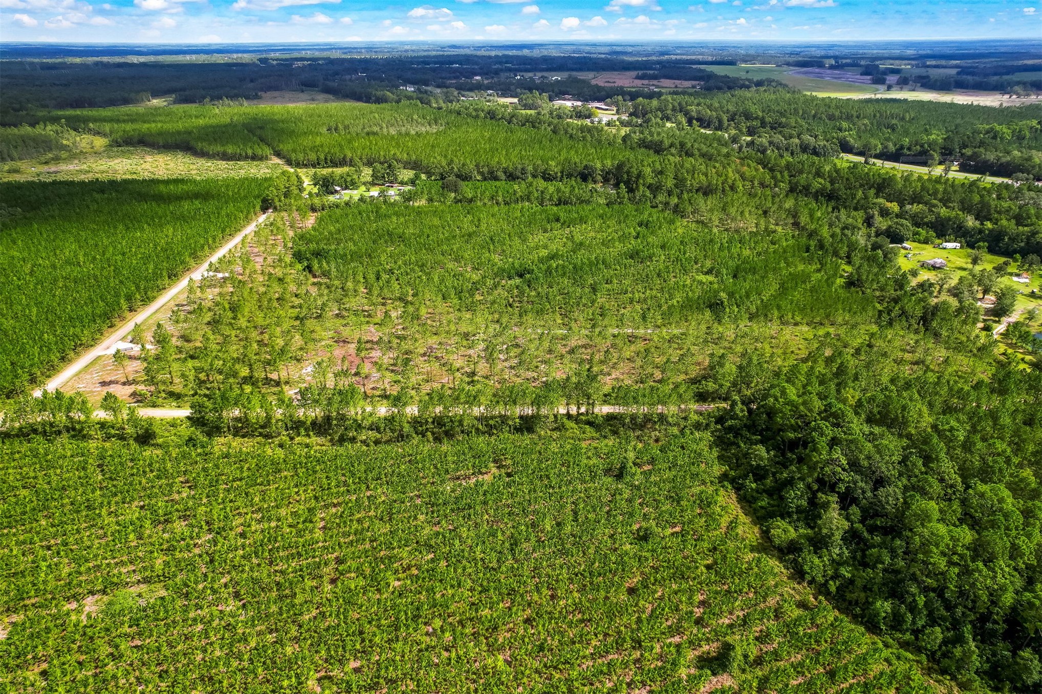 Lot 9 Georgia Street Hilliard, FL 32046 - Photo 14 of 14 a view of a garden with an outdoor space