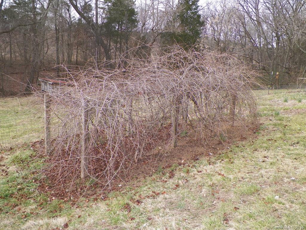 40713 Ridenhour Road Richfield, NC 28137 - Photo 16 of 21 Gallery Image 16