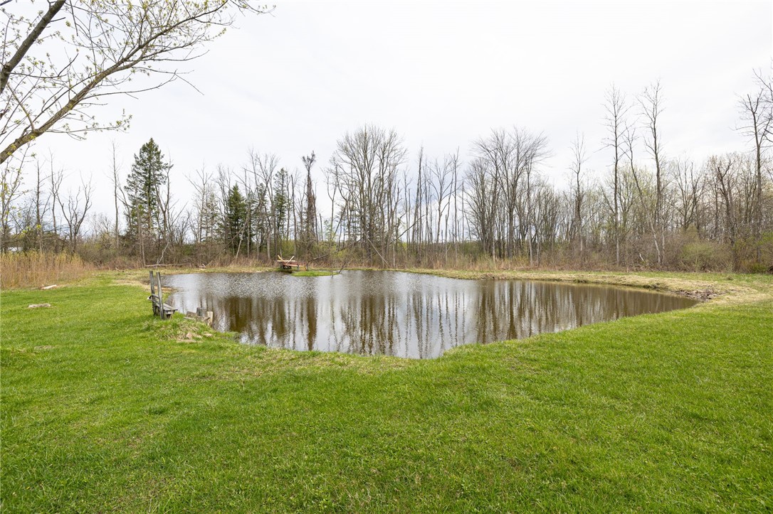 1236 Salt Road Webster, NY 14580 - Photo 40 of 49