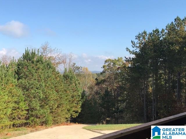 738 Meadow Ridge Drive Piedmont, AL 36272 - Photo 32 of 40