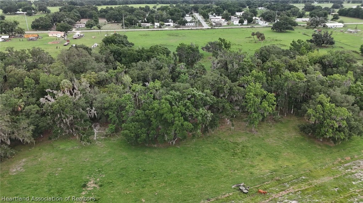 Griffin Road Wauchula, FL 33873 - Photo 5 of 17 a view of a green yard