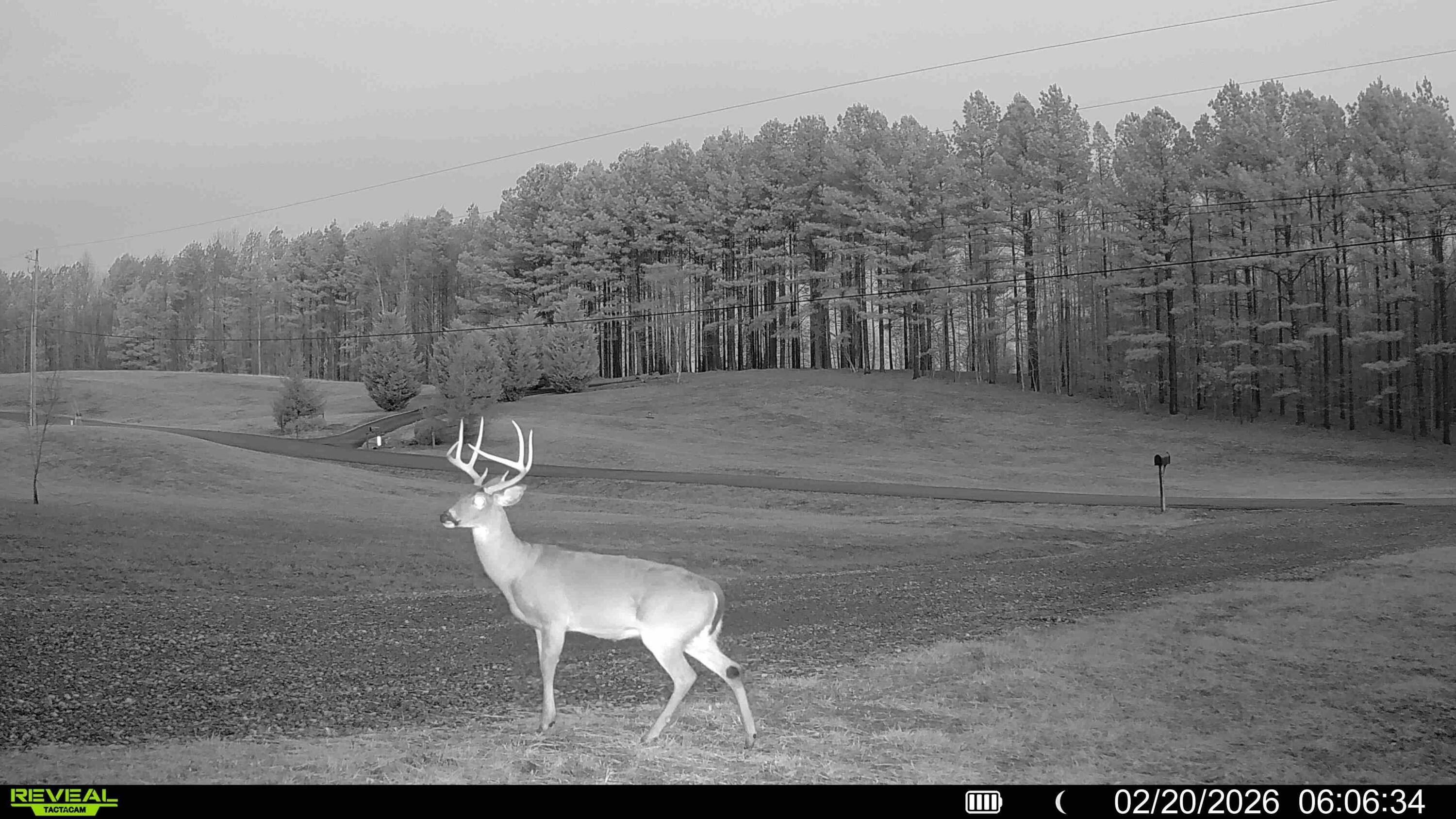 655 Thunder Ridge South Pittsburg, TN 37380 - Photo 104 of 108 016579005949198-100-4-02202026072708-HD-