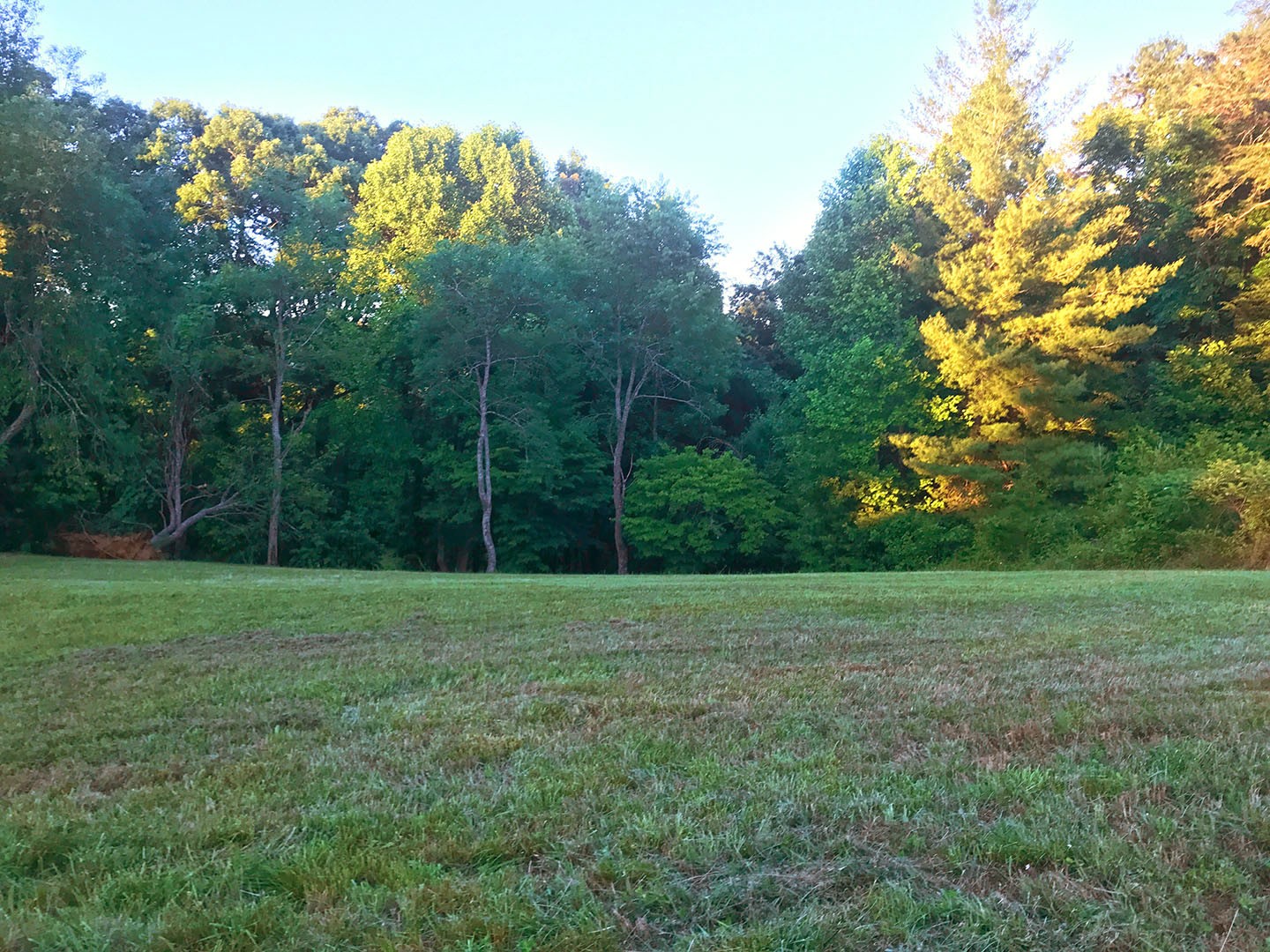 0 Riceland Drive Sevierville, TN 37862 - Photo 2 of 12 a view of a grassy field with trees in the background