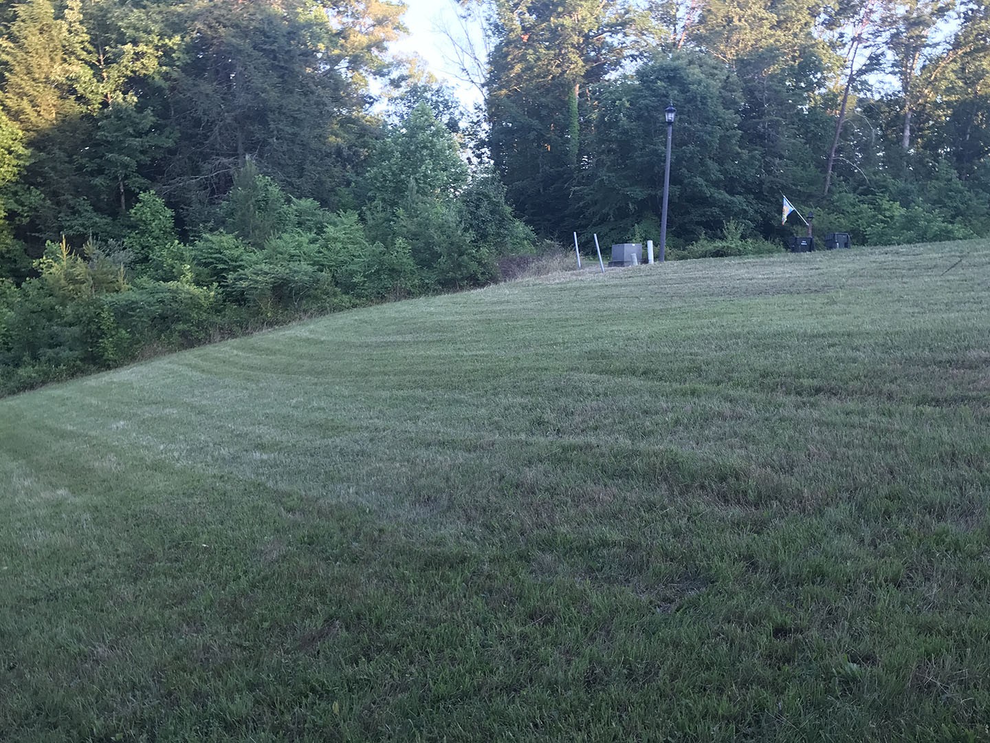 0 Riceland Drive Sevierville, TN 37862 - Photo 4 of 12 a view of dirt field with trees