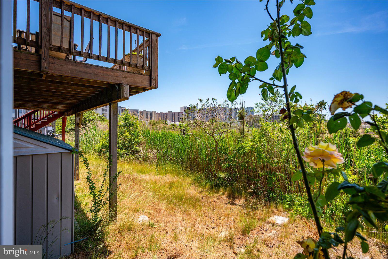 135 Jamestown Road, Unit 18A Ocean City, MD 21842 - Photo 48 of 63 a view of a yard with plants