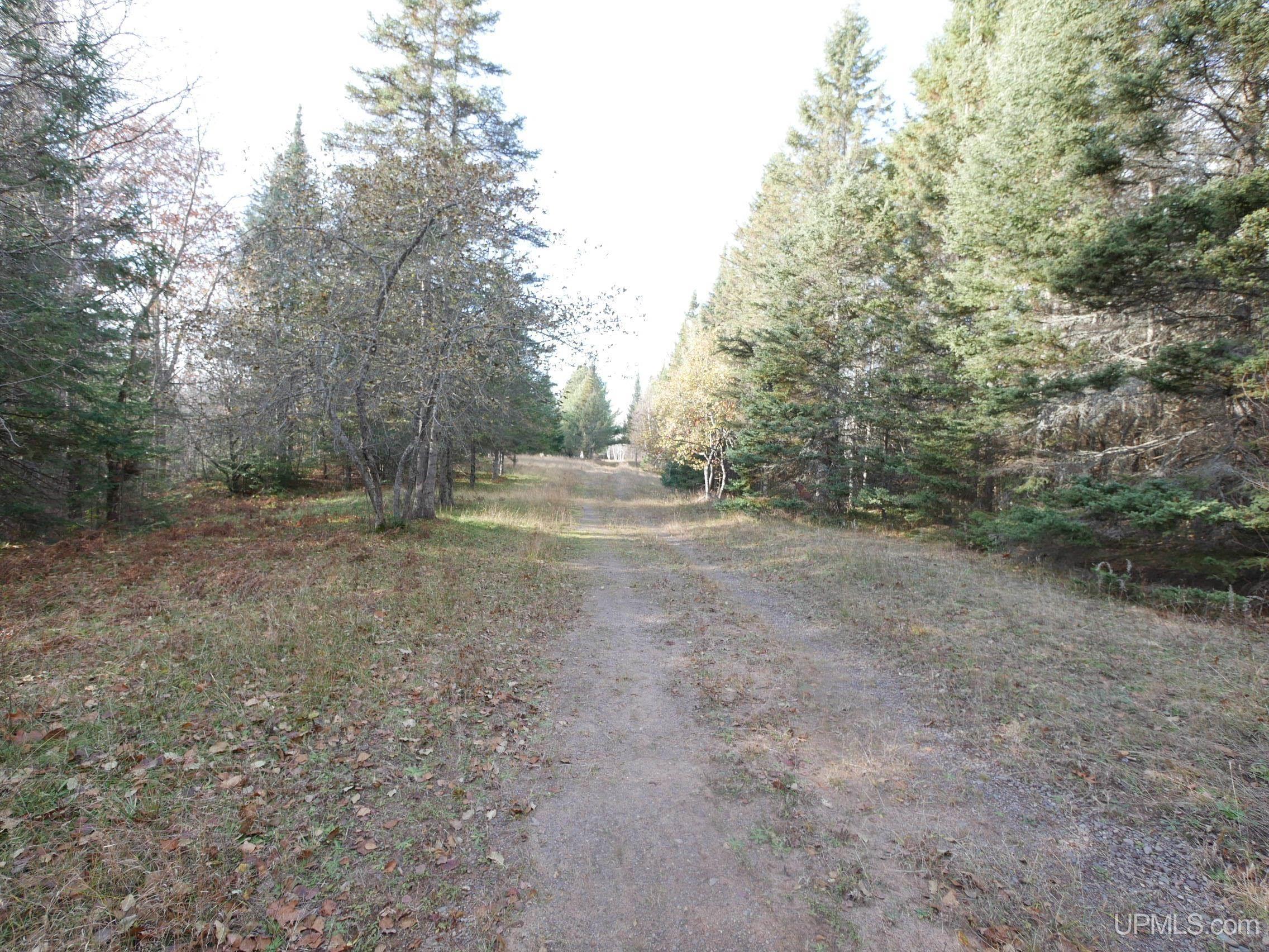 Tbd Tbd Asumaa Road Atlantic Mine, MI 49905 - Photo 9 of 39 Gallery Image 9