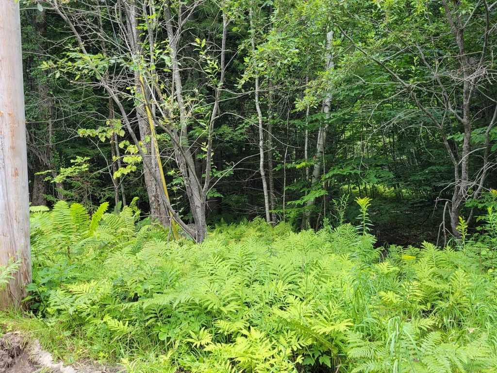 17 Iisalo Road Temple, ME 04984 - Photo 11 of 30 363900217_248253431468694_92046061568485