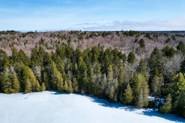 $120,000 | M19-l13-c Halls Mills Road, Whiting, ME 04691